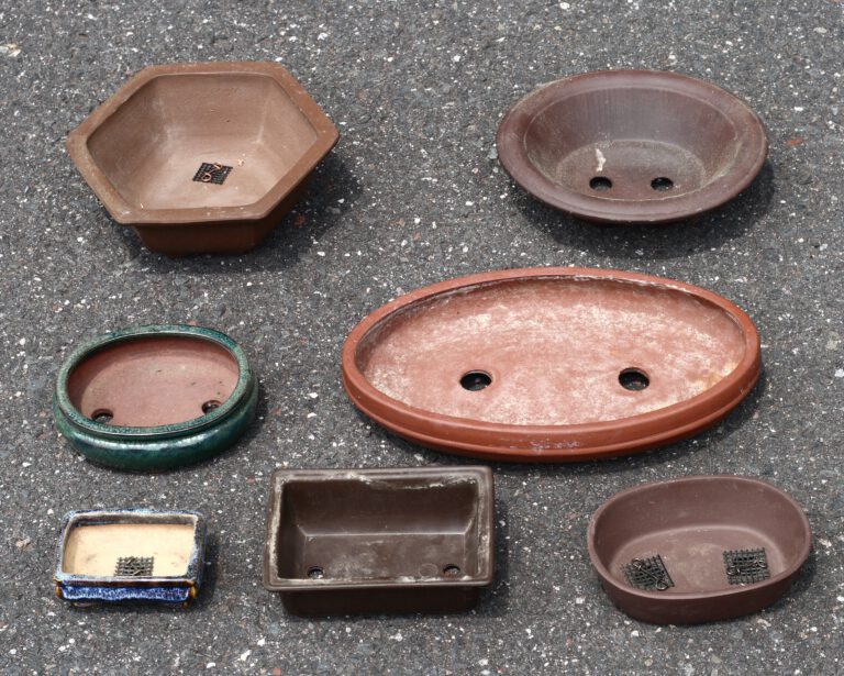 Bonsai Pots & Sizing Guide: Choosing the Right Pot