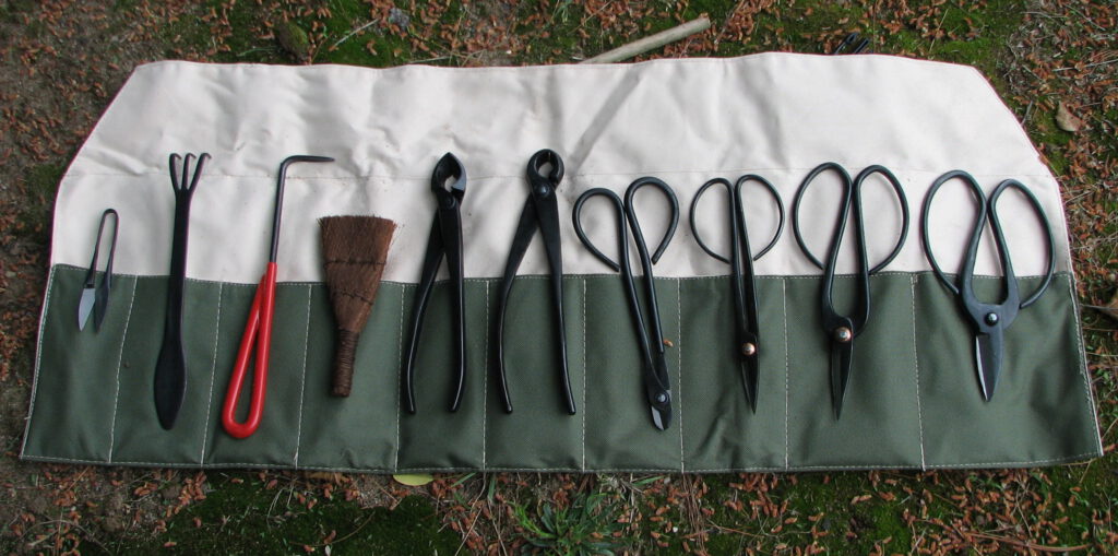Essential beginner bonsai tools bonsai tools