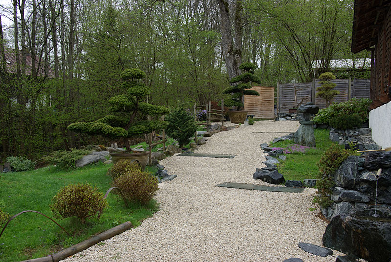 Visitor photographing bonsai trees in a garden Seeboten bonsai garden in Austria