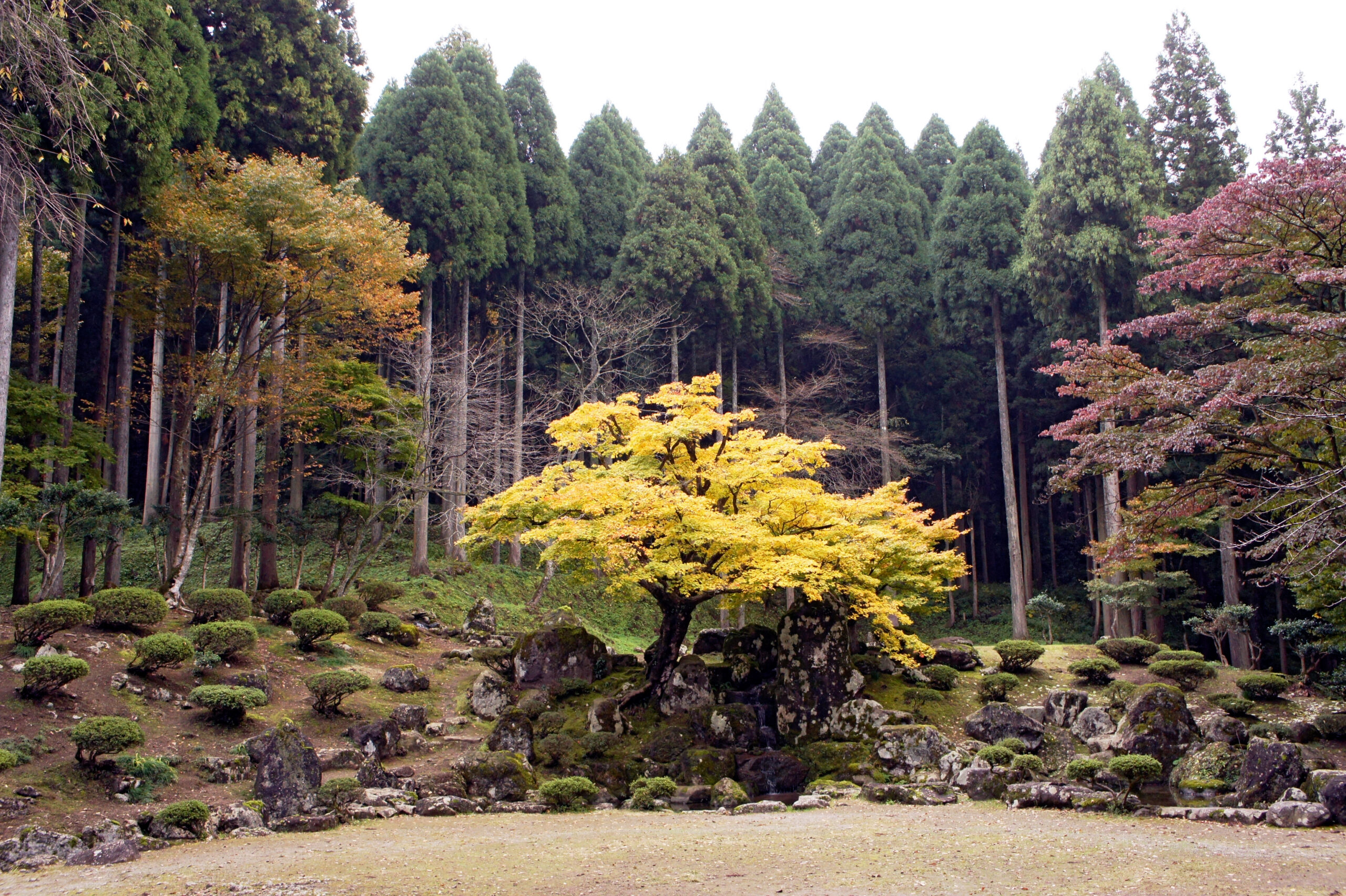 Suwa Yakata-ato Garden in Nagano