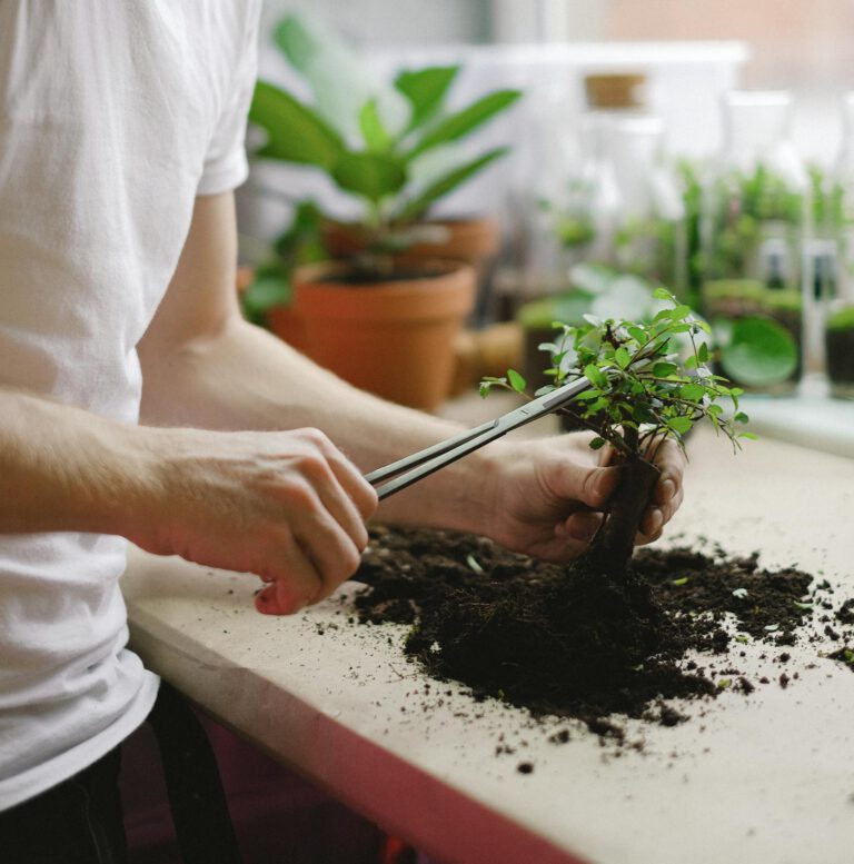 A man trimming a bonsai plant indoors, surrounded by gardening tools and houseplants.