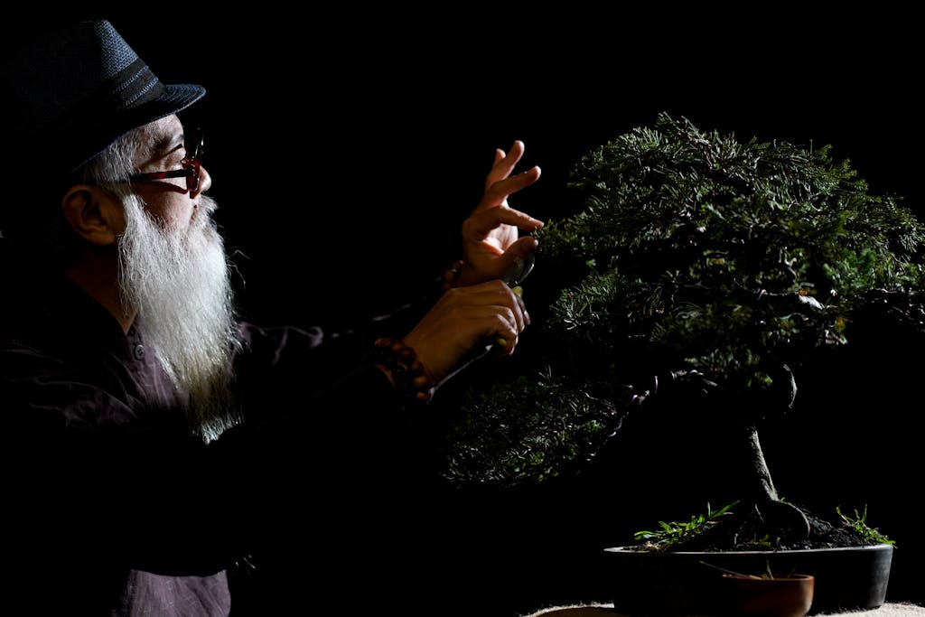 An elderly man carefully prunes a bonsai tree in dramatic low key lighting, highlighting precision and artistry.