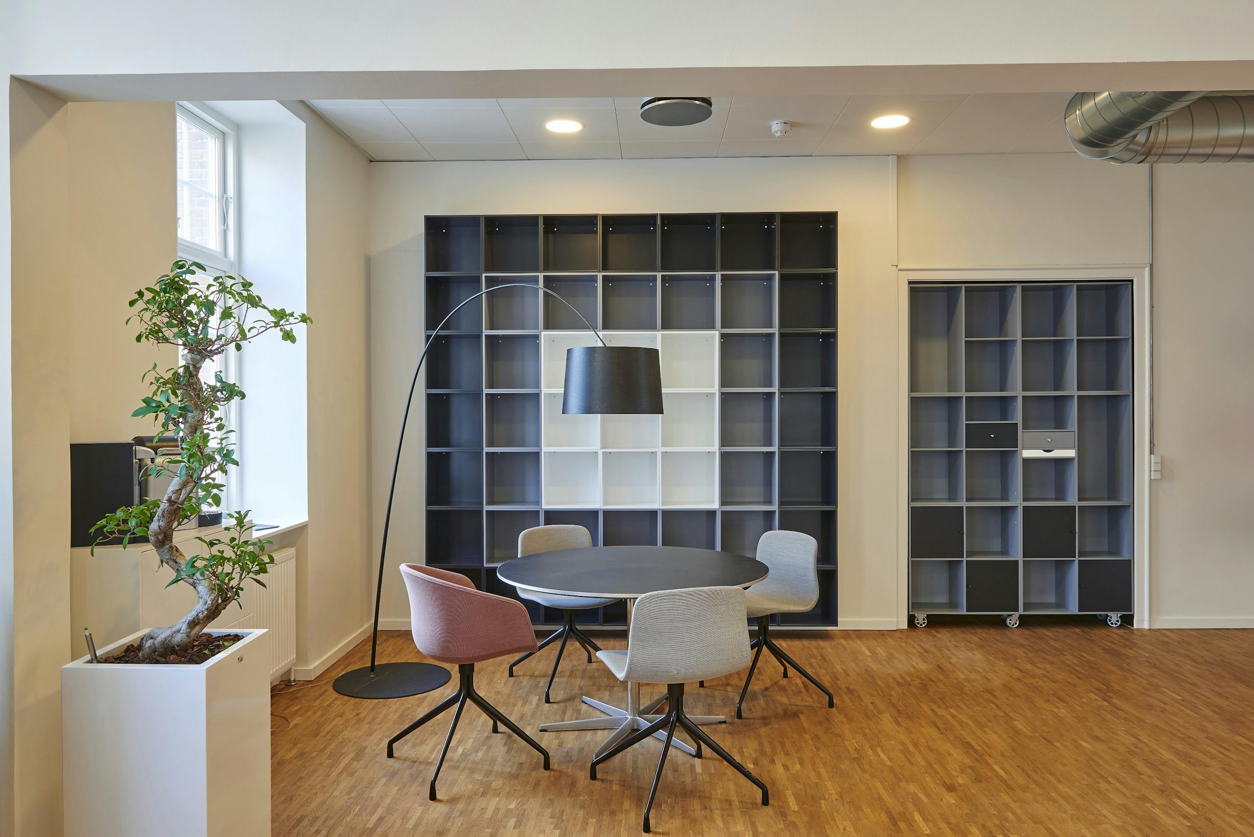 Bright and stylish office space with a bonsai tree