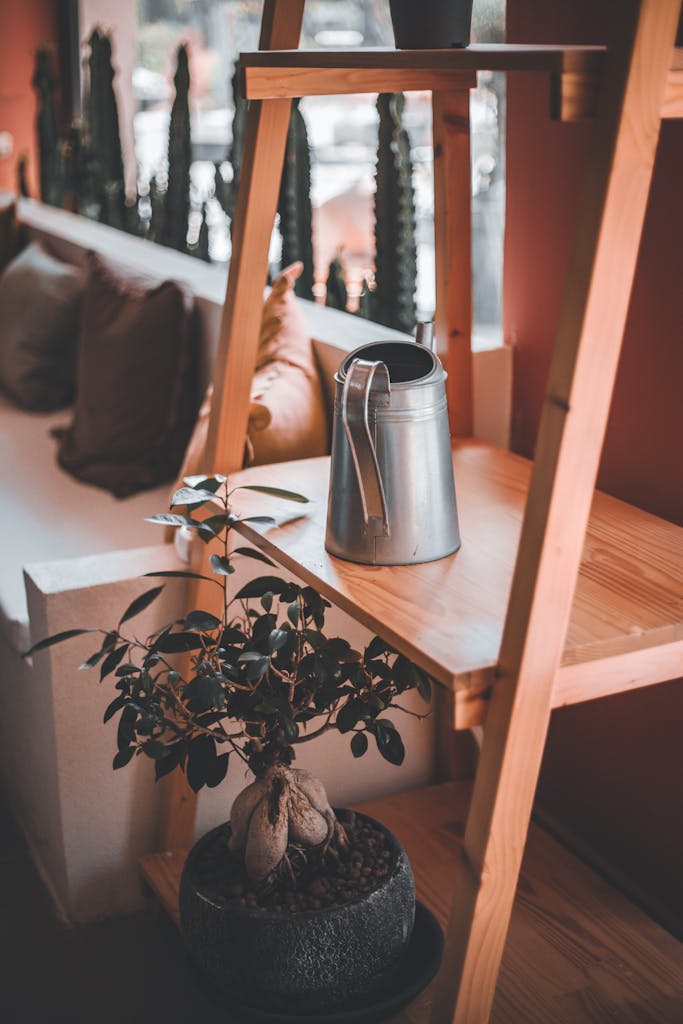 Cozy home interior showcasing a potted bonsai and metal watering can on wooden shelves, ideal for gardening enthusiasts.